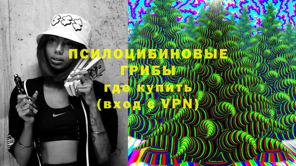 мдпв Алексин
