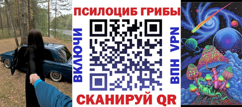 магазин продажи наркотиков Салехард Псилоцибиновые грибы Psilocybine cubensis